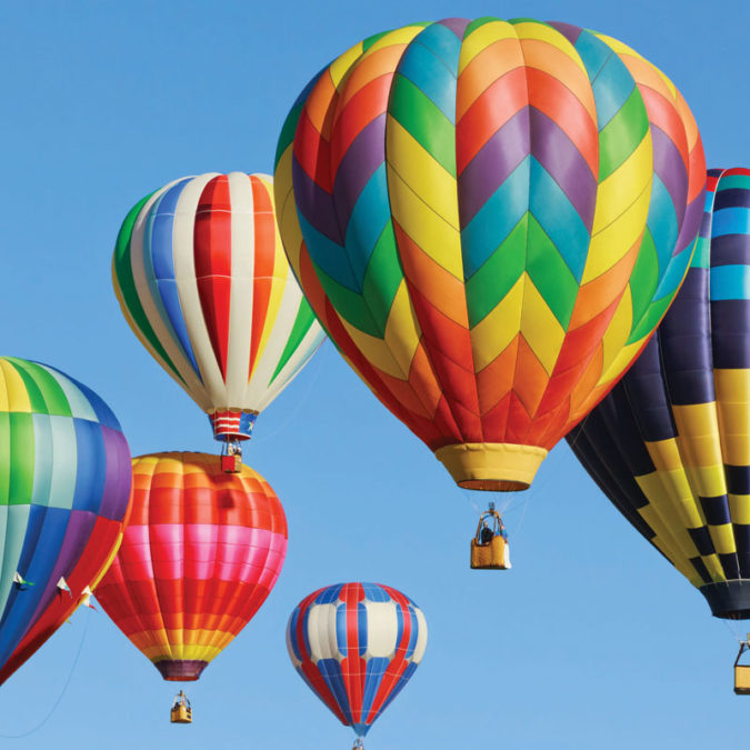 Hot Air Balloons at the Botanical Garden