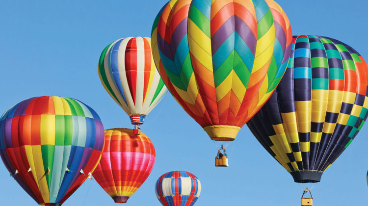 Hot Air Balloons at the Botanical Garden