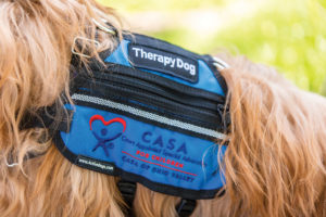 CASA therapy dog vest
