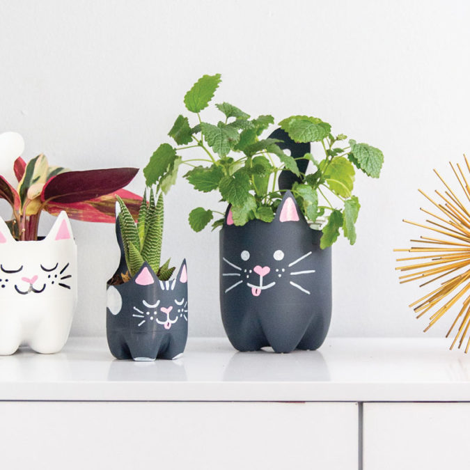 Soda bottle cat planter