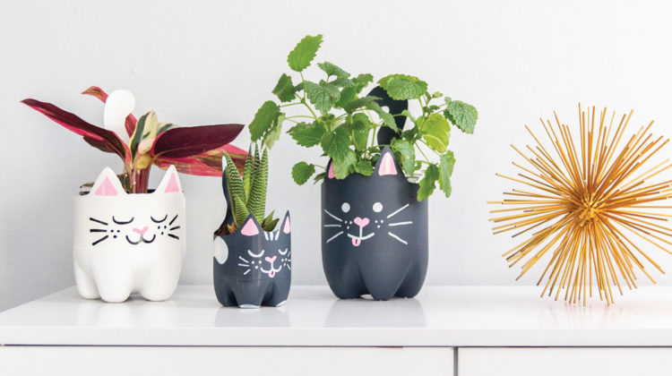 Soda bottle cat planter