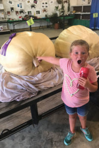 Girl is in shock at how large the pumpkin is