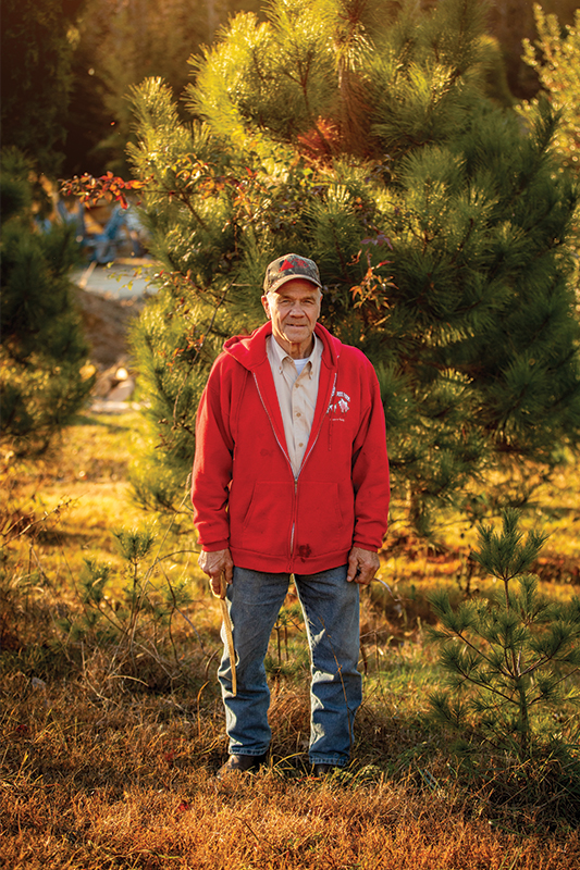 O' Christmas Tree Owensboro Parent Magazine