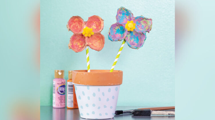 Egg Carton  Flower Craft